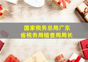 国家税务总局广东省税务局稽查局局长