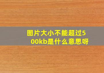 图片大小不能超过500kb是什么意思呀