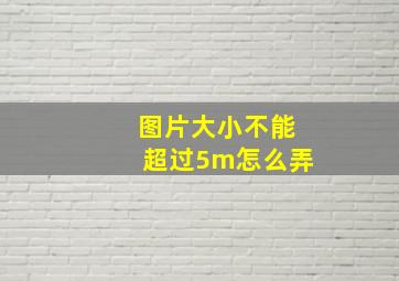 图片大小不能超过5m怎么弄