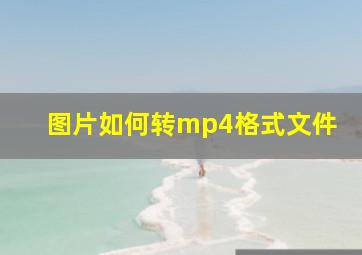 图片如何转mp4格式文件