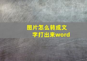 图片怎么转成文字打出来word