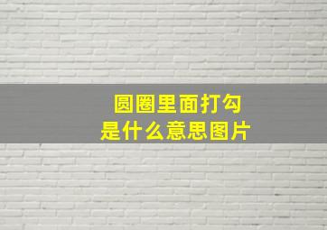 圆圈里面打勾是什么意思图片