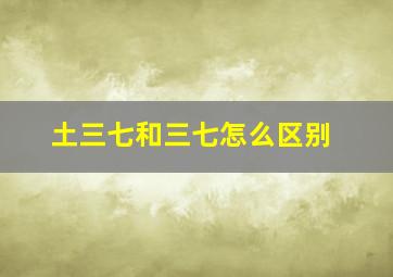 土三七和三七怎么区别