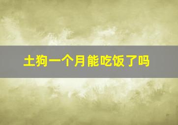 土狗一个月能吃饭了吗