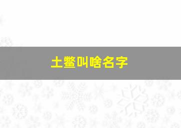 土鳖叫啥名字