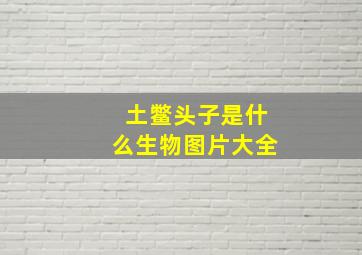 土鳖头子是什么生物图片大全