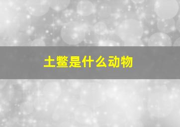 土鳖是什么动物