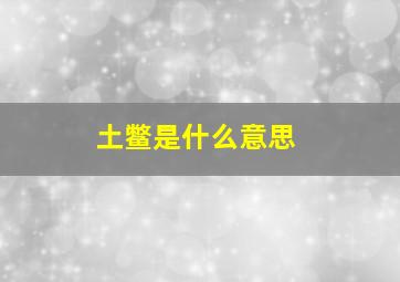 土鳖是什么意思