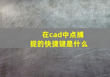 在cad中点捕捉的快捷键是什么