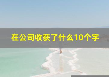 在公司收获了什么10个字