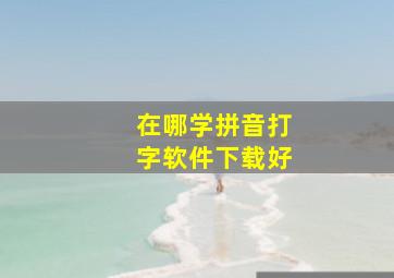 在哪学拼音打字软件下载好