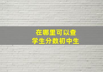 在哪里可以查学生分数初中生