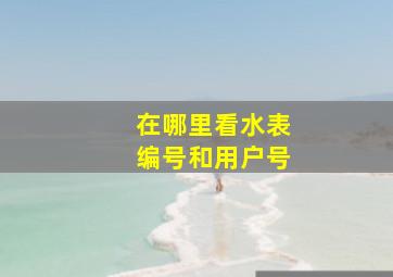 在哪里看水表编号和用户号