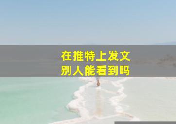 在推特上发文别人能看到吗