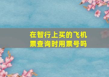 在智行上买的飞机票查询时用票号吗