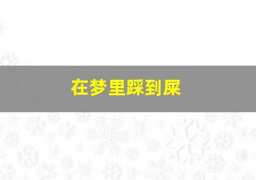 在梦里踩到屎