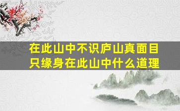 在此山中不识庐山真面目只缘身在此山中什么道理