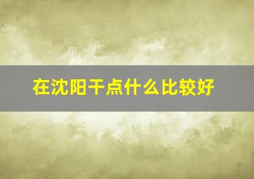 在沈阳干点什么比较好