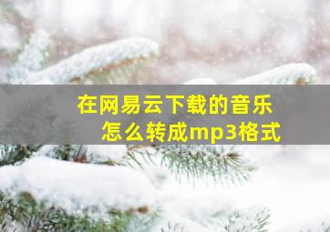 在网易云下载的音乐怎么转成mp3格式