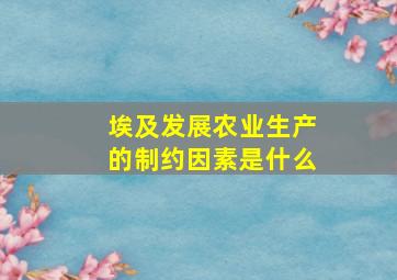 埃及发展农业生产的制约因素是什么