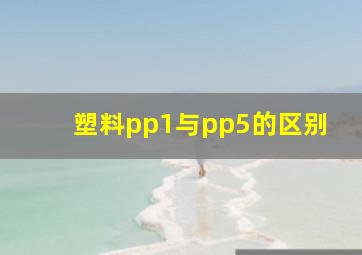 塑料pp1与pp5的区别