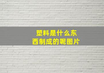 塑料是什么东西制成的呢图片