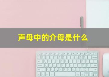 声母中的介母是什么