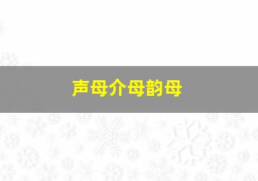 声母介母韵母