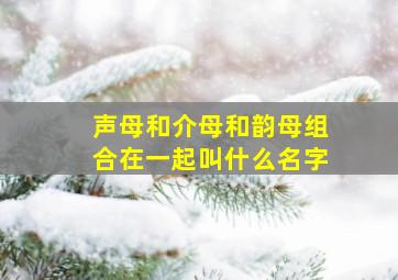 声母和介母和韵母组合在一起叫什么名字