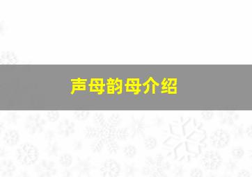 声母韵母介绍