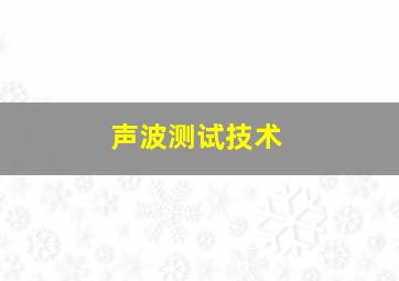 声波测试技术