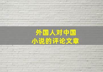 外国人对中国小说的评论文章