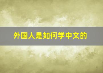 外国人是如何学中文的