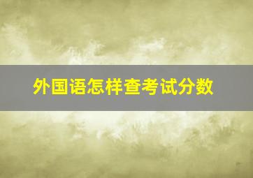 外国语怎样查考试分数