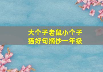 大个子老鼠小个子猫好句摘抄一年级