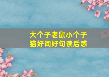 大个子老鼠小个子猫好词好句读后惑