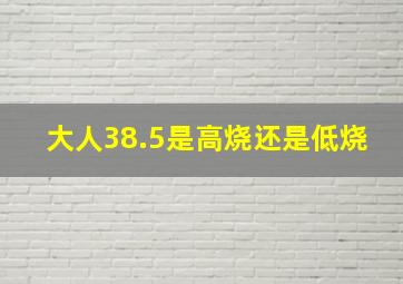 大人38.5是高烧还是低烧