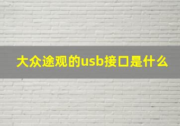 大众途观的usb接口是什么