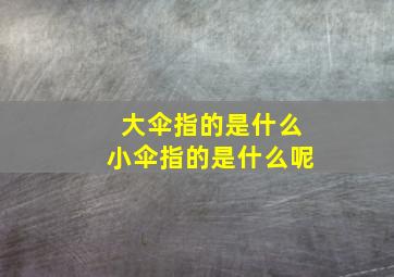 大伞指的是什么小伞指的是什么呢