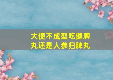 大便不成型吃健脾丸还是人参归脾丸