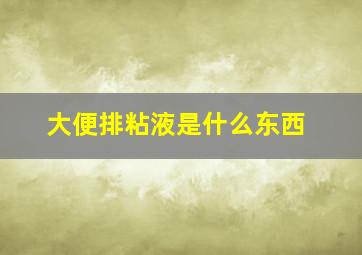 大便排粘液是什么东西