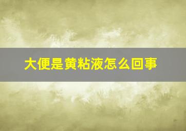 大便是黄粘液怎么回事