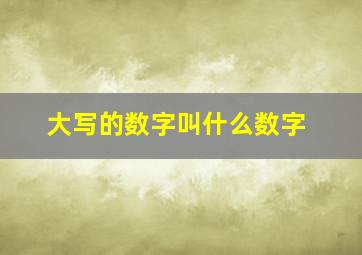 大写的数字叫什么数字