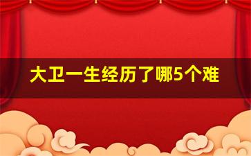 大卫一生经历了哪5个难