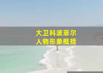 大卫科波菲尔人物形象概括