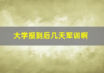 大学报到后几天军训啊