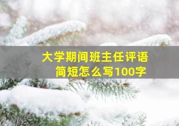 大学期间班主任评语简短怎么写100字