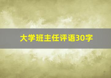 大学班主任评语30字