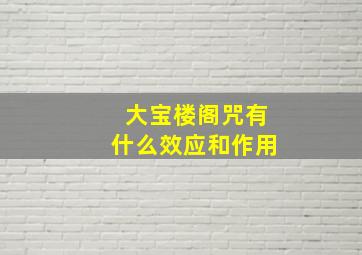 大宝楼阁咒有什么效应和作用