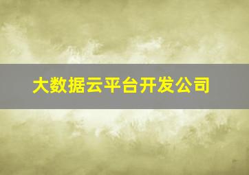 大数据云平台开发公司